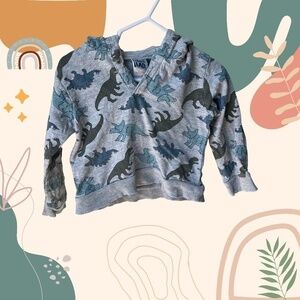 Little  Lad 12-18 month hoodie